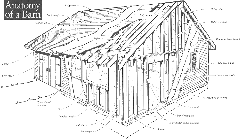 Anatomy of a 24 ft. x 30 ft. Barn