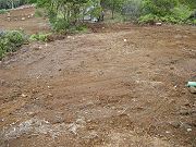 Area Below House Grubbed for Terraced Walls