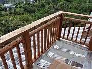 Balcony Railing and Greenhouse Roof, March 26, 2010