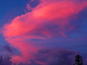 Sunlit Clouds at Sunset. July 5, 2009