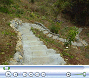 Lower Clearing Down Stairs Late May 2008