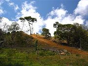 Path Down to Lower Clearing in Late May 2008