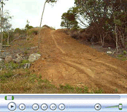 Driveway from Lower Clearing in Late May 2008