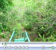 Video of First Trail to Second Clearing