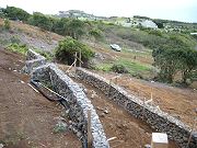 First Two Blue Rock Terraced Walls.  March 5, 2009