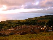 Early Morning on Building Site, June, 2008