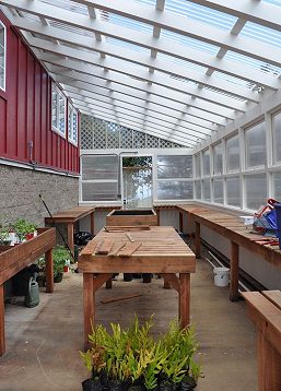 Greenhouse Interior and Redwood Benches