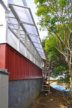 Greenhouse Windows Open