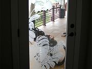 Sandblasted Main Hallway Door, Sept. 25, 2009