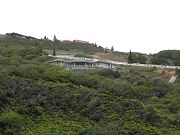 House and Driveway from Maluhia Entrance.  April 4, 2009