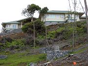 House Viewed from Lower Clearing.  April 7, 2009