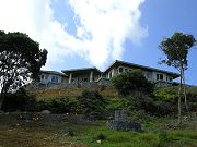 House Viewed from Lower Clearing.  January 10, 2009