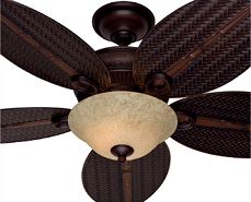 Hunter Curacao Model 21317, SKU 168 906, Outdoor rated, 54-inch fan with light kit.  $199, Yorba Linda Home Depot, for Lanai