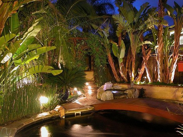 Backyard Koi Pond at Night