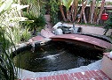 Koi Pond