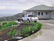 Landscaping along Driveway, February 6, 2010