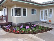 Landscaping in front of Guest Room, February 6, 2010