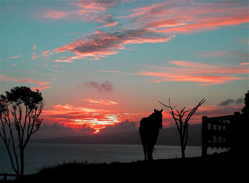Late October Sunrise over Paia