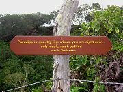 Laurie Anderson's Idea of Paradise