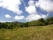 Larger Lower Clearing in Late May 2008