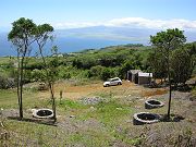 Lower Clearing with Sheds and Planters