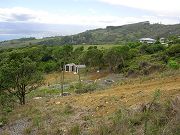 Lower Clearing with Sheds and Planters