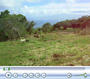 Video of Lower Clearing in Jan. 2008