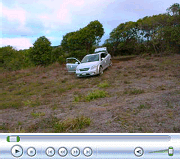 Video of Lower Clearing June 2008