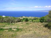 View from Lower Clearing, June, 2008