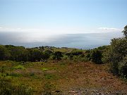 View from Lower Clearing in Late May 2008
