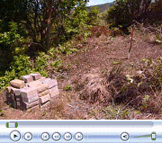 Video of Lower Clearing and New Shed Location, June 2008