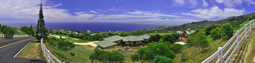 Dream House and Barn in Maui