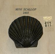 Kitchen Cabinet Pulls, 2403 Mini Scallop Pulls, $11 each, Exclusively Yours