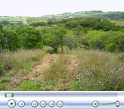 Video of View from Driveway