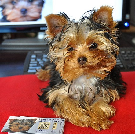 Paco with his Business Cards