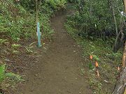 Widened Path to Stream, April 22, 2009
