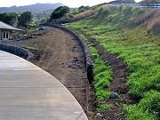 Ricky's Long Wall from Driveway to Barn, Dec. 9, 2009