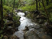 Stream on Lower Edge of Property, April 21, 2009