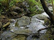 Stream on Lower Edge of Property, April 22, 2009