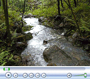 Stream on Back Property Line a Few Days Later.  April 24, 2009