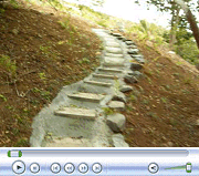 Lower Clearing Up Stairs Late May 2008