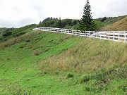 Upper Slope Next to Road Planted with Native Hawaiian Plants