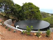 Water Tank, Retaining Walls, and Hibiscus