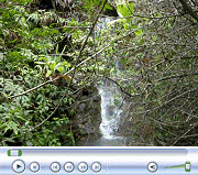 Waterfall Near East Corner of Property.  April 22, 2009