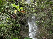 Waterfall near East Corner of Property, April 22, 2009