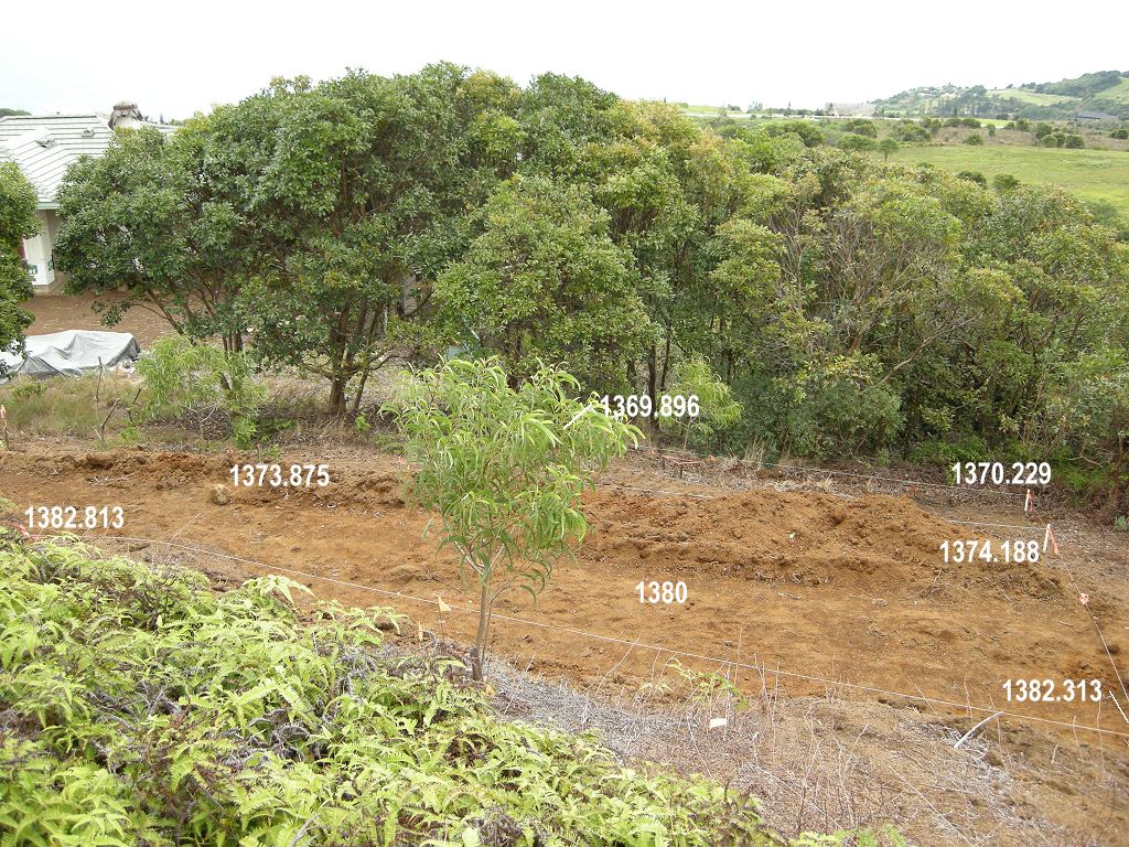 Elevation Data for Workshop Site