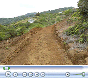 Video of Workshop Staking.  Viewed from front driveway, Feb. 20, 2009