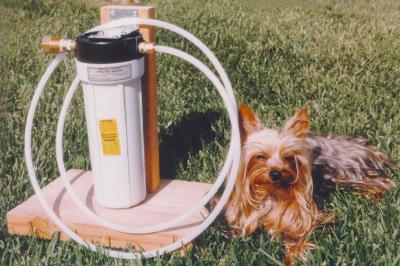 Shooter with water filter