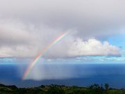 Freshly Made Rainbow