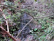 Small Waterfall Near East Corner of Property